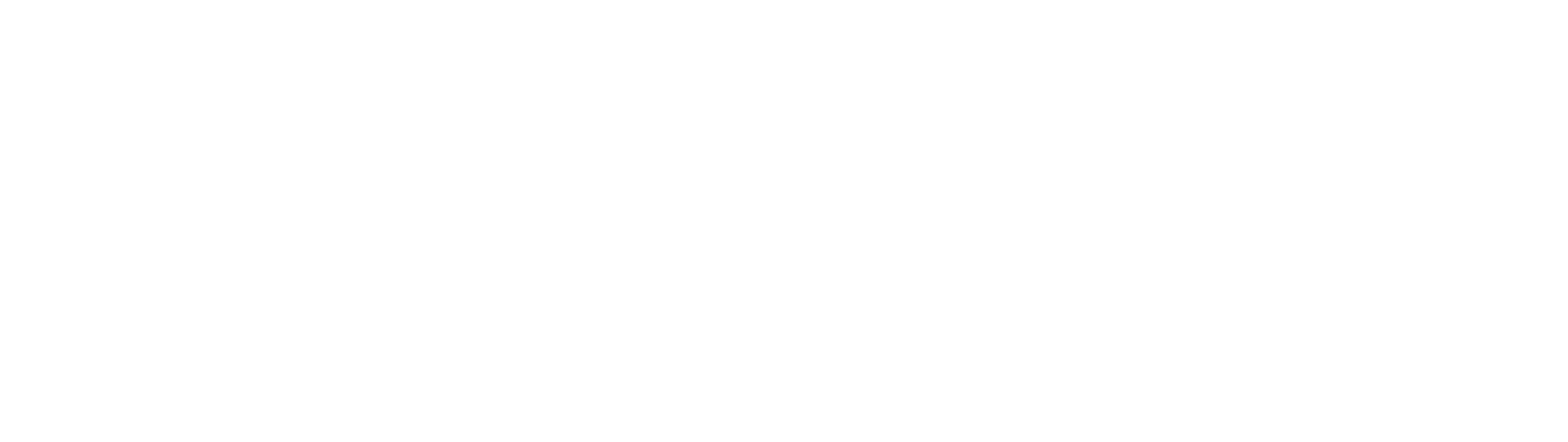 NLS Logistics